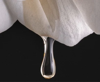 Golden Silk – seidiger, goldener Glanz